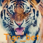 Tigr_bet