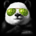 Green Panda