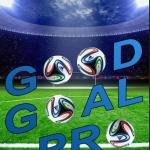 GoodGoalPro