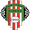 logo Виктория Жижков