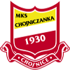 logo Хойничанка