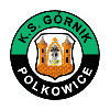 logo Гурник Польковице