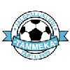 logo Таммека (мол)