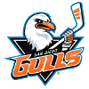 San Diego Gulls