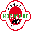 logo Англет