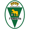 FK Gomel