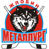 Metallurg Zhlobin