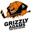 Grizzlys Wolfsburg